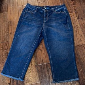 LANE BRYANT GIRLFRIEND CROP Size 14